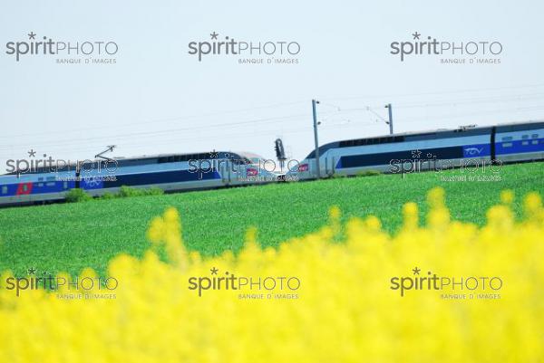 TGV-Transport (JBNADEAU_01166.jpg)