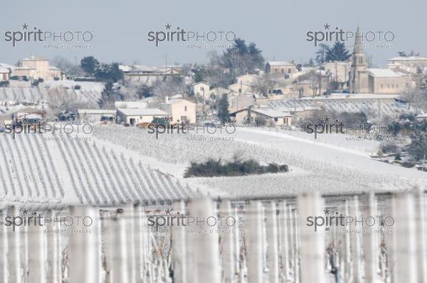 Vignoble Bordelais sous la neige (JBNADEAU_01222.jpg)
