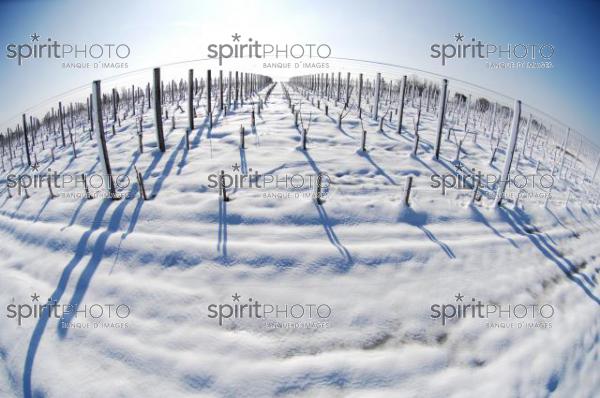 Vignoble Bordelais sous la neige (JBNADEAU_01223.jpg)