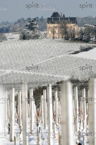 Vignoble Bordelais sous la neige (JBNADEAU_01224.jpg)