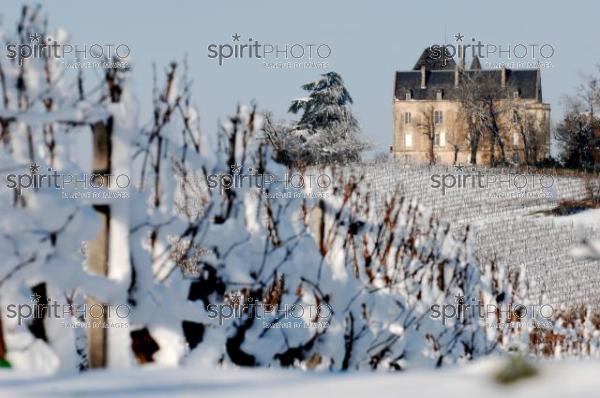 Vignoble Bordelais sous la neige (JBNADEAU_01230.jpg)