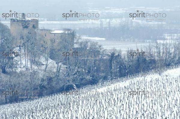 Vignoble Bordelais sous la neige (JBNADEAU_01239.jpg)