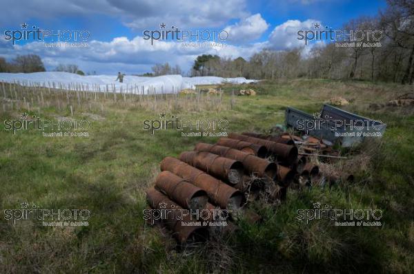 FRANCE, GIRONDE, LANDIRAS, PREPARATION DU VIGNOBLE AVANT LA PERIODE DE GEL DE DEBUT AVRIL 2022 SUR LE DOMAINE VITICOLE DU CELEBRE VIN LIBER PATER AVEC LA POSE D'UN GEOTEXTILE PAR DES EQUIPES D'OUVRIERS VITICOLES LE 1ER AVRIL 2022. (JBN_0024.jpg)
