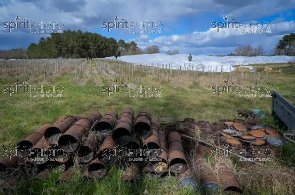 FRANCE, GIRONDE, LANDIRAS, PREPARATION DU VIGNOBLE AVANT LA PERIODE DE GEL DE DEBUT AVRIL 2022 SUR LE DOMAINE VITICOLE DU CELEBRE VIN LIBER PATER AVEC LA POSE D'UN GEOTEXTILE PAR DES EQUIPES D'OUVRIERS VITICOLES LE 1ER AVRIL 2022. (JBN_0028.jpg)