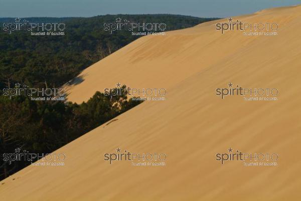 Dune du Pyla - Bassin d'Arcachon (JBN_01522.jpg)