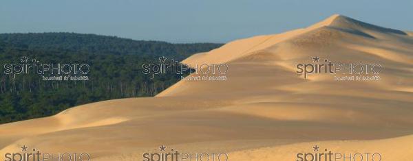 Dune du Pyla - Bassin d'Arcachon (JBN_01526.jpg)