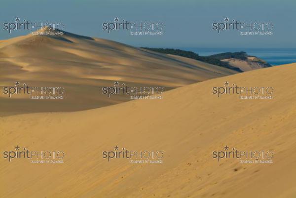 Dune du Pyla - Bassin d'Arcachon (JBN_01527.jpg)