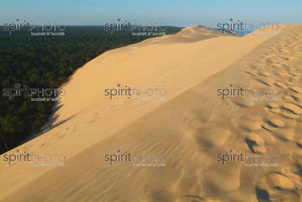 Dune du Pyla - Bassin d'Arcachon (JBN_01528.jpg)