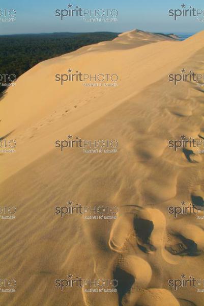 Dune du Pyla - Bassin d'Arcachon (JBN_01529.jpg)