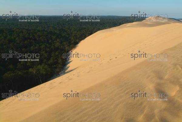 Dune du Pyla - Bassin d'Arcachon (JBN_01530.jpg)