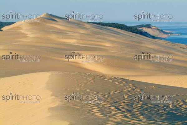 Dune du Pyla - Bassin d'Arcachon (JBN_01531.jpg)
