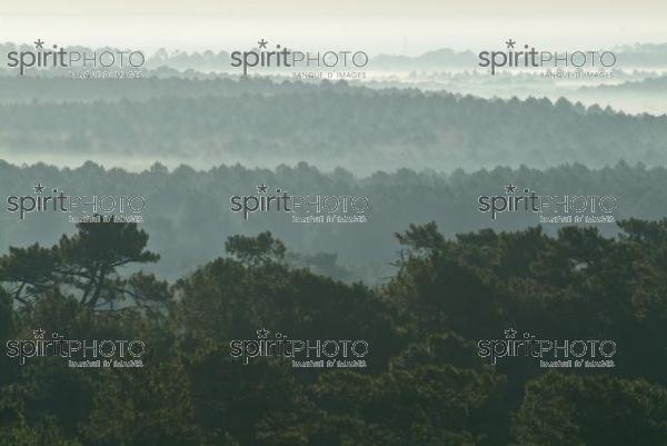 Dune du Pyla - Bassin d'Arcachon (JBN_01534.jpg)