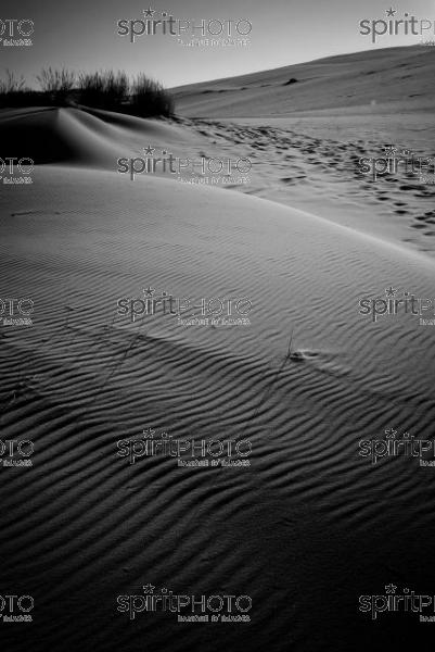 Dune du Pyla - Bassin d'Arcachon (JBN_01537.jpg)