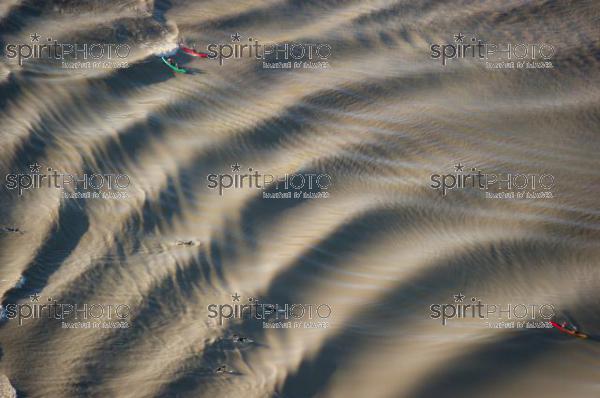 Mascaret sur la Garonne en Gironde (JBN_01564.jpg)