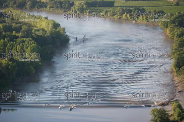 Mascaret sur la Garonne en Gironde (JBN_01572.jpg)
