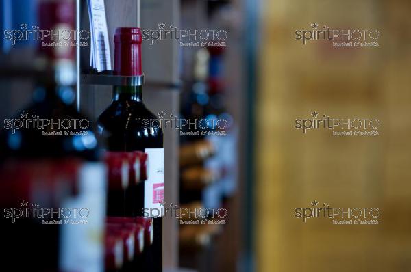 Maison du Vin de Saint-Emilion (JBN_01844.jpg)