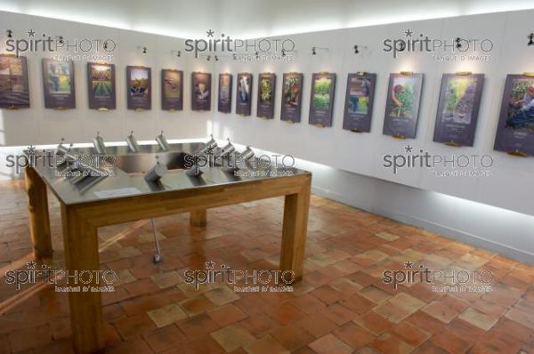 Maison du Vin de Saint-Emilion (JBN_01860.jpg)