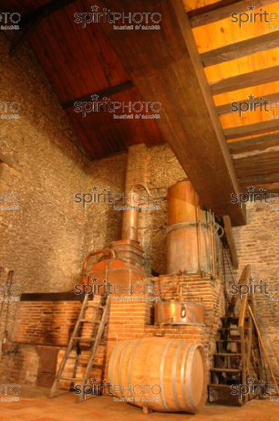 Domaine d'Ognoas - Landes (JBN_02023.jpg)