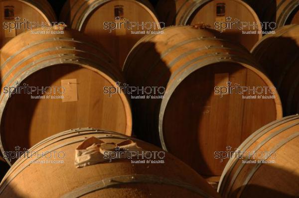 Domaine d'Ognoas - Landes (JBN_02024.jpg)