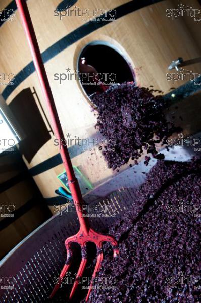 Vinification - Chteau Faugres (JBN_02045.jpg)