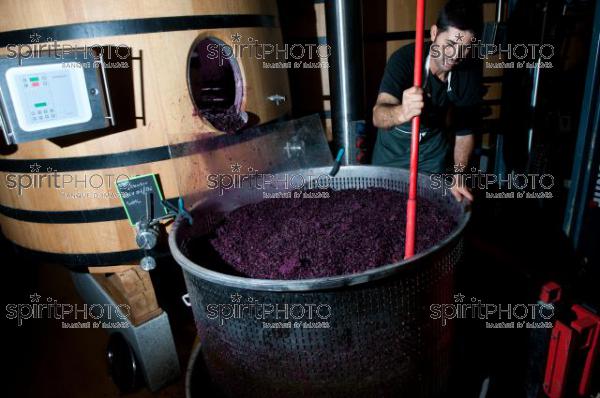 Vinification - Chteau Faugres (JBN_02046.jpg)