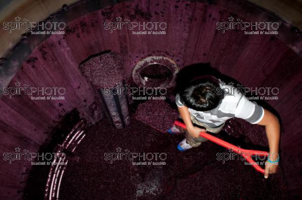 Vinification - Chteau Faugres (JBN_02048.jpg)