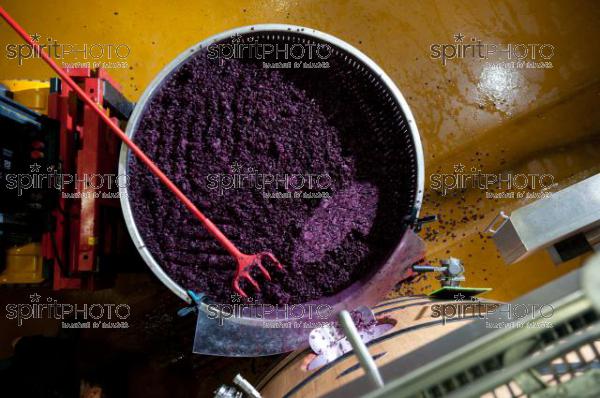 Vinification - Chteau Faugres (JBN_02049.jpg)