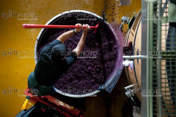 Vinification - Chteau Faugres (JBN_02051.jpg)