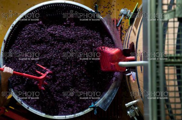 Vinification - Chteau Faugres (JBN_02052.jpg)