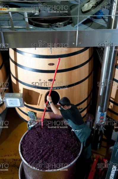 Vinification - Chteau Faugres (JBN_02053.jpg)