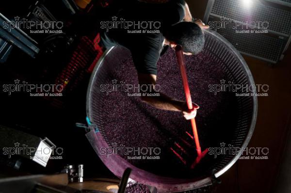 Vinification - Chteau Faugres (JBN_02058.jpg)