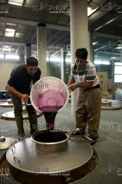 Vinification - Chteau Faugres (JBN_02064.jpg)