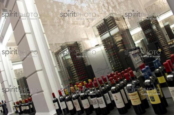 Wine Gallery Bordeaux-Max Bordeaux (JBN_02360.jpg)