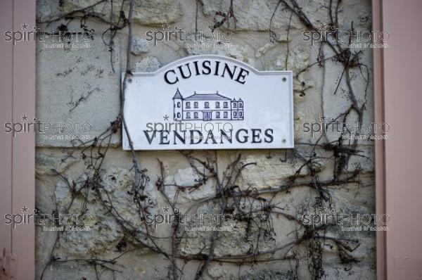 Gastronomie - Panneau Cuisine - Vendanges (JBN_02551.jpg)