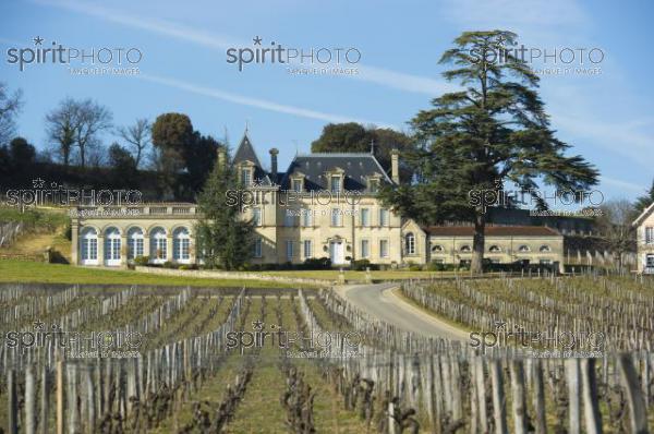 Chteau Fonplgade - Saint-Emilion (JBN_02776.jpg)