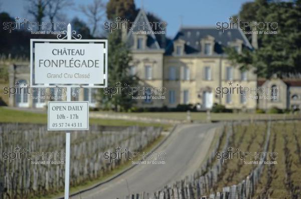 Chteau Fonplgade - Saint-Emilion (JBN_02777.jpg)