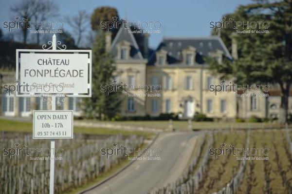 Chteau Fonplgade - Saint-Emilion (JBN_02778.jpg)