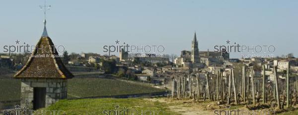 Vignoble de Saint-Emilion (JBN_02789.jpg)