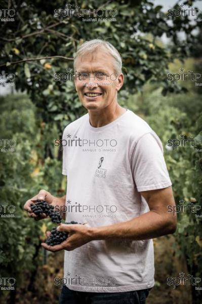 GIRONDE (33) LAPOUYADE, DELPHINE ET BENOIT VINET, DOMAINE EMILE GRELIER, AGRICULTURE BIOLOGIQUE, VIGNOBLE BORDELAIS  // FRANCE, GIRONDE (33) LAPOUYADE, DELPHINE ET BENOIT VINET, DOMAINE EMILE GRELIER, ORGANIC AGRICULTURE, BORDEAUX VINEYARD (JBN_0281.jpg)