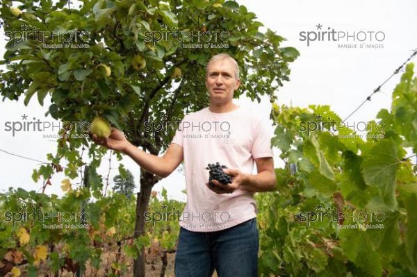 GIRONDE (33) LAPOUYADE, DELPHINE ET BENOIT VINET, DOMAINE EMILE GRELIER, AGRICULTURE BIOLOGIQUE, VIGNOBLE BORDELAIS  // FRANCE, GIRONDE (33) LAPOUYADE, DELPHINE ET BENOIT VINET, DOMAINE EMILE GRELIER, ORGANIC AGRICULTURE, BORDEAUX VINEYARD (JBN_0300.jpg)