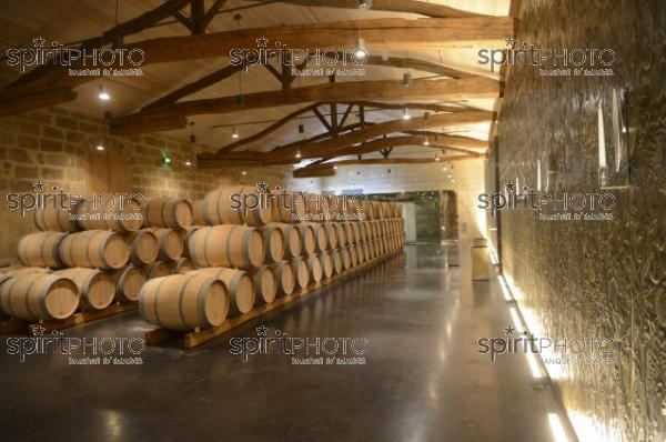 Chteau Soutard-Vignoble Bordelais (JBN_03019.jpg)