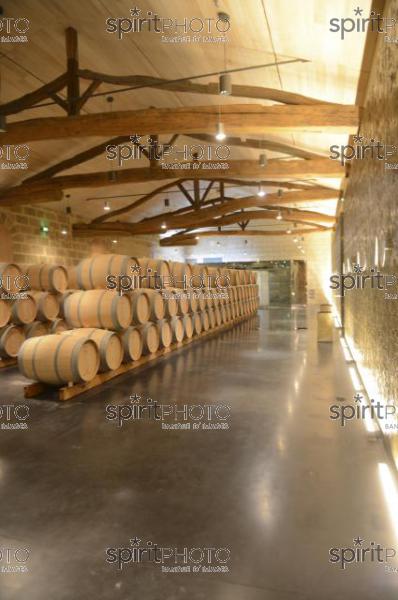 Chteau Soutard-Vignoble Bordelais (JBN_03020.jpg)