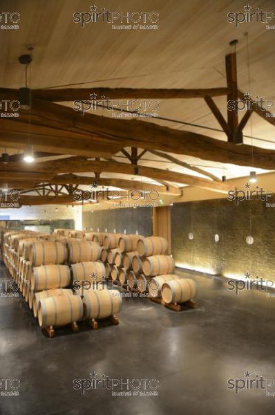 Chteau Soutard-Vignoble Bordelais (JBN_03023.jpg)