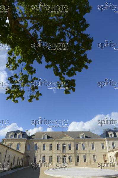 Chteau Soutard-Vignoble Bordelais (JBN_03030.jpg)