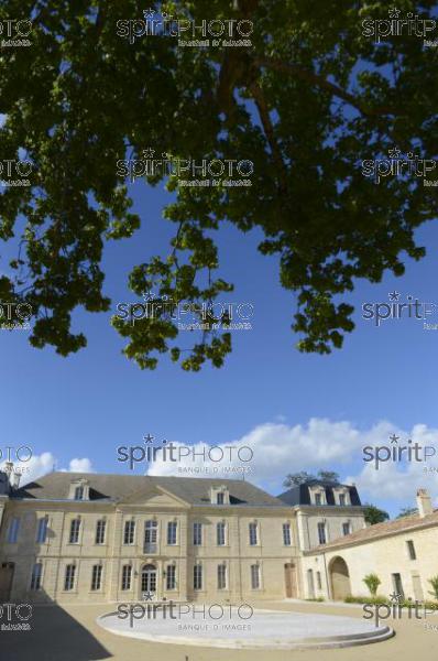 Chteau Soutard-Vignoble Bordelais (JBN_03031.jpg)