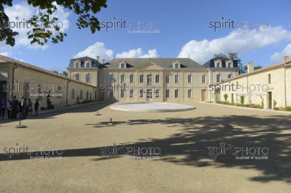Chteau Soutard-Vignoble Bordelais (JBN_03032.jpg)