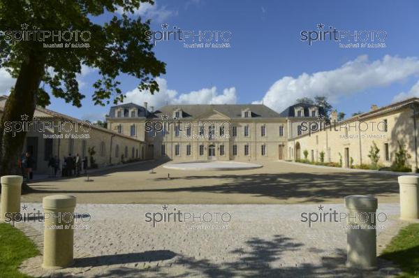 Chteau Soutard-Vignoble Bordelais (JBN_03033.jpg)