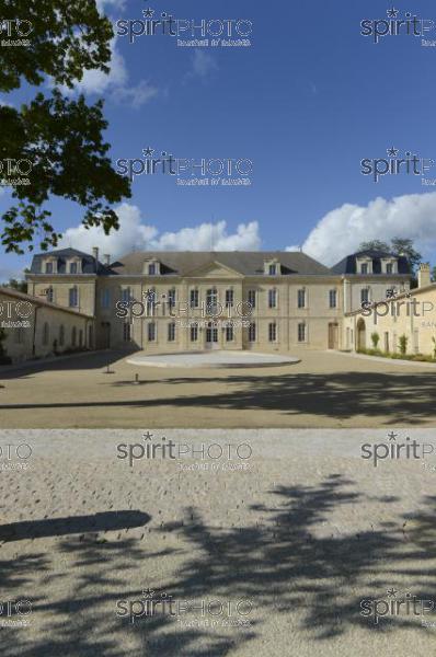 Chteau Soutard-Vignoble Bordelais (JBN_03034.jpg)