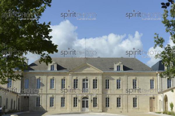 Château Soutard-Vignoble Bordelais (JBN_03037.jpg)