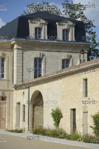 Chteau Soutard-Vignoble Bordelais (JBN_03041.jpg)